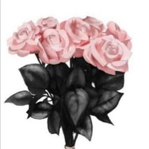 Meet your Posher, Connie